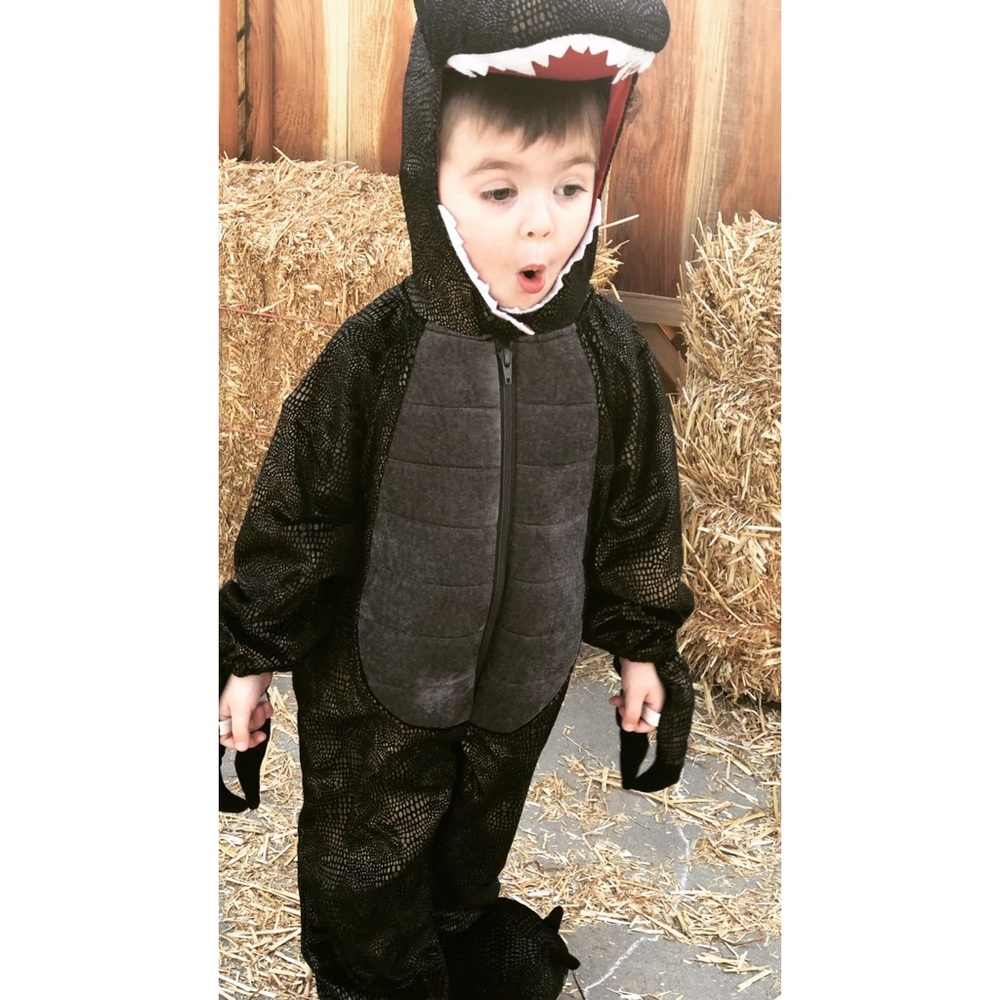 Dinosaur costume